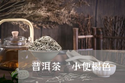 普洱茶 小便褐色/2023041082137